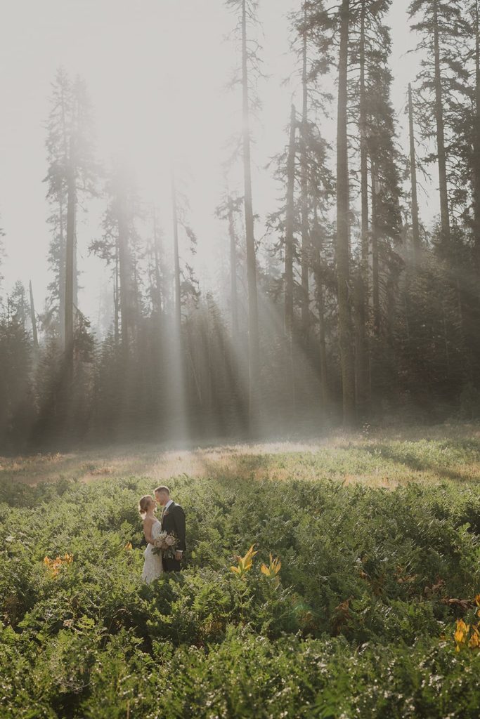Bride and groom in an open field in Yosemite