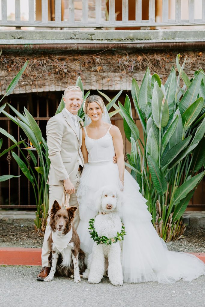 bride and groom standing in front of large green palms with two dogs one white dog is wearing a floral necklace