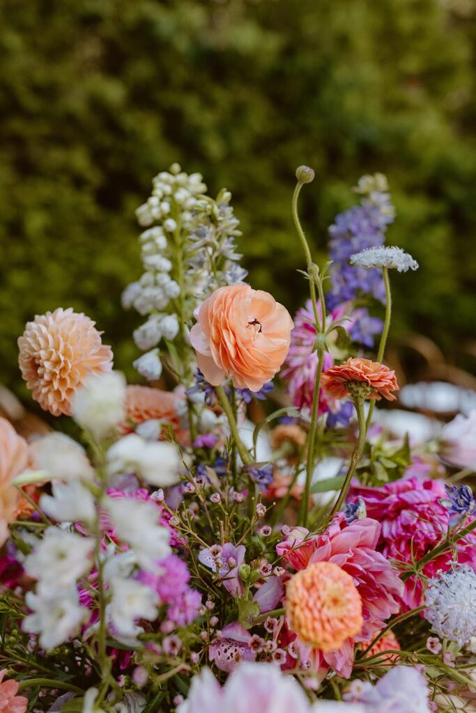 Colorful summer florals with dahlias